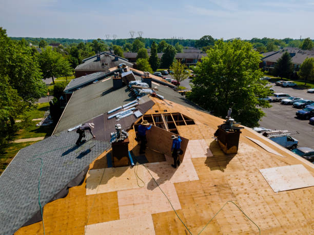 Trusted Roof Inspection service in Woodland Park, CO - Brentwood Metal Roofing